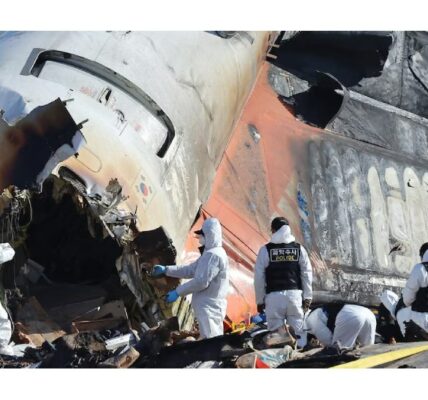 Wreckage of a crashed airplane with rescue teams responding