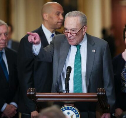 Chuck-Schumer-addressing-government-shutdown-concerns
