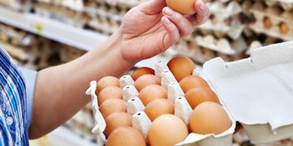 Egg-prices-today-–-Latest-market-trends-and-updates