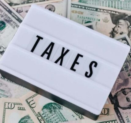 Taxpayer-checking-IRS-refund-status-online-–-3000-IRS-tax-refund-schedule-2025-1